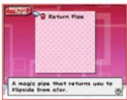 NINTENDO SUPER PAPER MARIO - Important Items - 1
