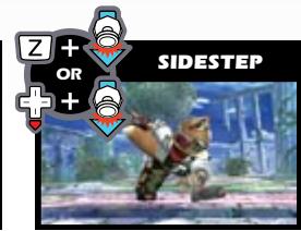 NINTENDO SUPER SMASHBROS BRAWL - Evasion - 3