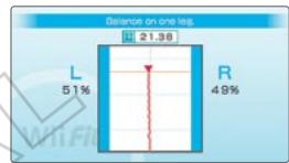 NINTENDO WII FIT - Maîtrise du corps - 2