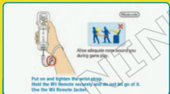 NINTENDO WII FLING SMASH - Insert the FlingSmash Game Disc into the disc slot on the Wii console. The console power will turn on. - 4
