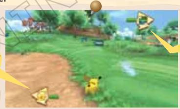 NINTENDO WII POKEPARK - Combates (Battle) - 1