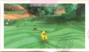 NINTENDO WII POKEPARK - Chase - 1