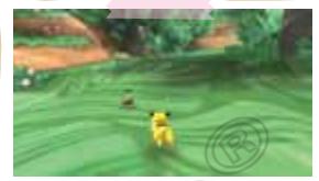 NINTENDO WII POKEPARK - Pilla pilla (Chase) - 1