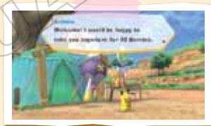 NINTENDO WII POKEPARK - The Meeting Place - 1