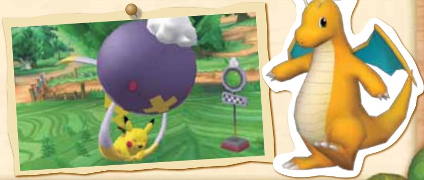 NINTENDO WII POKEPARK - Save Game - 2