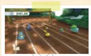 NINTENDO WII POKEPARK - Each Pokémon's Record - 5