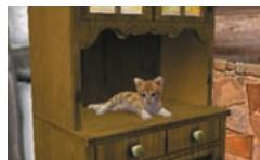 NINTENDO GS CATS FRENCH BULLDOG - Taking Care of Your Kitten - 1