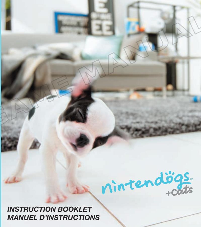NINTENDO GS CATS FRENCH BULLDOG - 1