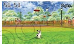 NINTENDO GS CATS FRENCH BULLDOG - Concours d'obéissance - 1