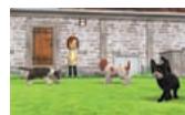 NINTENDO GS CATS FRENCH BULLDOG - Information du maître - 7