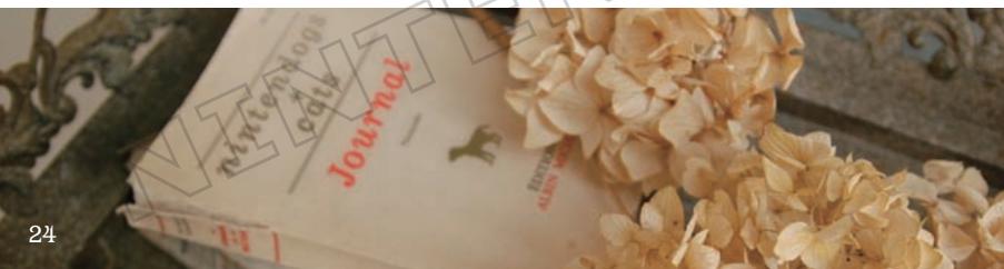 NINTENDO GS CATS FRENCH BULLDOG - Using the Journal for the First Time - 1