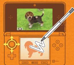 NINTENDO GS CATS FRENCH BULLDOG - Which Puppy Will You Choose? - 1