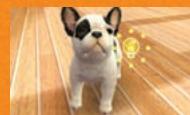 NINTENDO GS CATS FRENCH BULLDOG - Nommer votre chiot - 1