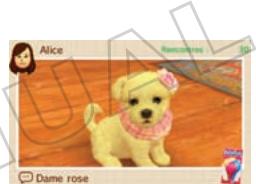 NINTENDO GS CATS FRENCH BULLDOG - Échange de streetpass réussie. quoi faire maintenant? - 1