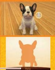 NINTENDO GS CATS FRENCH BULLDOG - How to Teach Your Puppy to Sit Down - 1