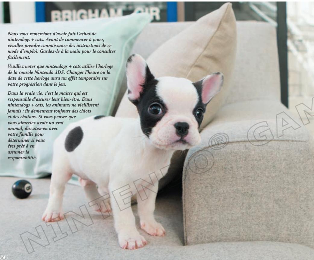 NINTENDO GS CATS FRENCH BULLDOG - Limites de la garantie - 1
