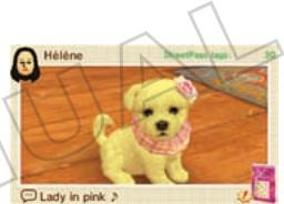 NINTENDO GS CATS FRENCH BULLDOG - After a Successful StreetPass Exchange - 1