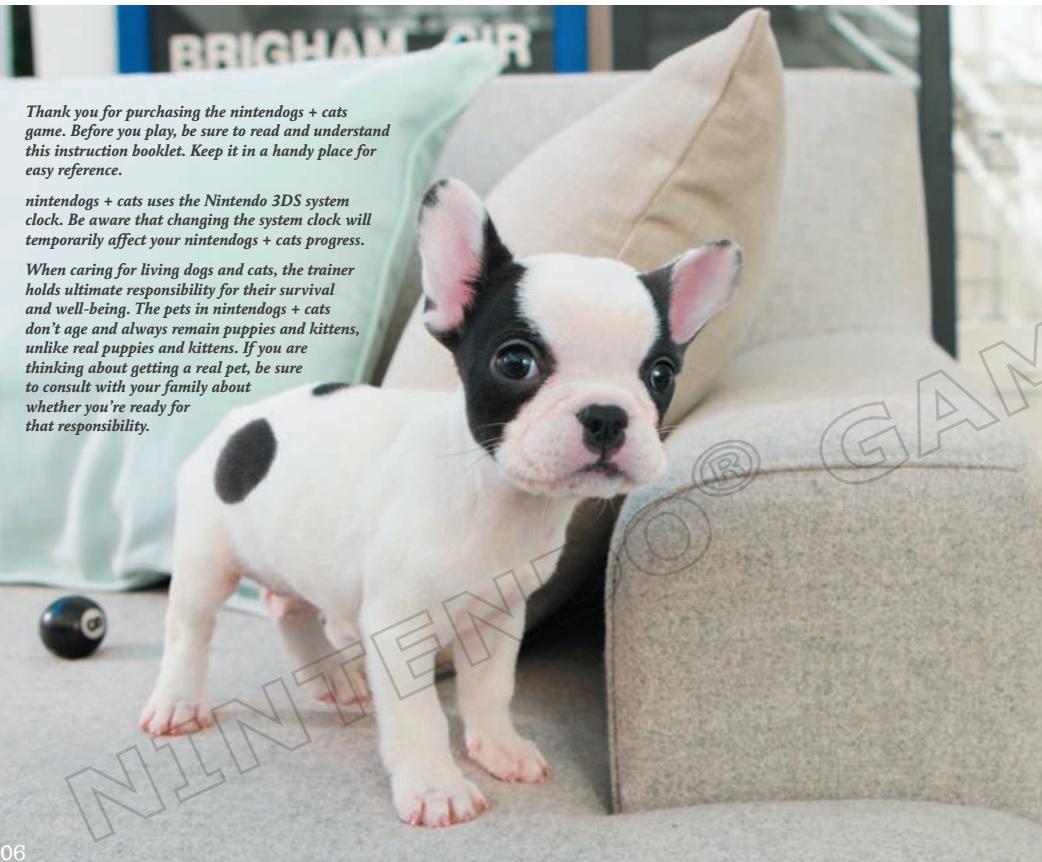 NINTENDO GS CATS FRENCH BULLDOG - WARRANTY LIMITATIONS - 1