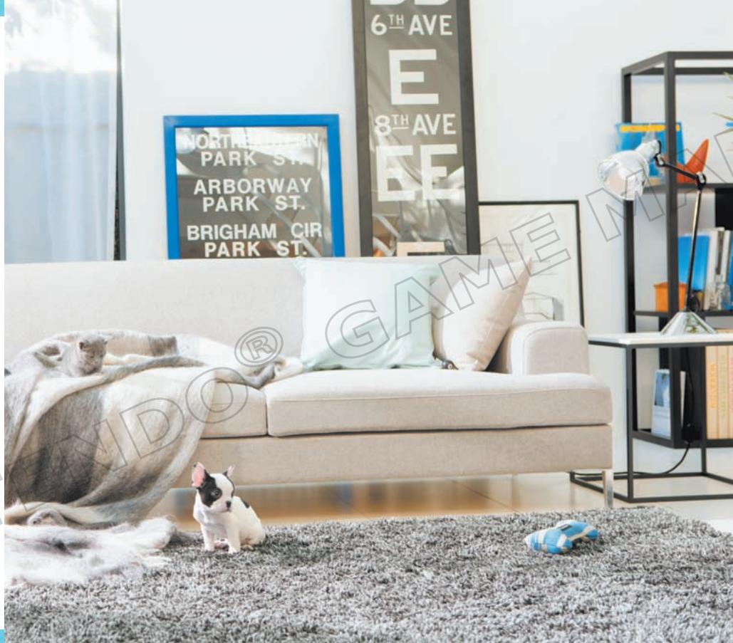 NINTENDO GS CATS FRENCH BULLDOG - Vivre avec votre chiot (à la maison) - 1