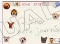 NINTENDO GS CATS FRENCH BULLDOG - Écran du carnet - 1