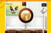 NINTENDO GS CATS FRENCH BULLDOG - Sauvegarder votre partie - 1