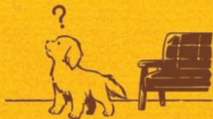 NINTENDO GS CATS FRENCH BULLDOG - Is Your Dog Having a Hard Time Learning Its Name? - 1