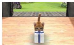 NINTENDO GS CATS FRENCH BULLDOG - Vivre avec votre chaton - 3