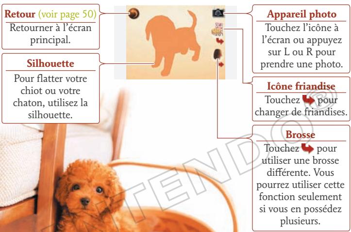 NINTENDO GS CATS FRENCH BULLDOG - Interagir avec votre chiot - 1
