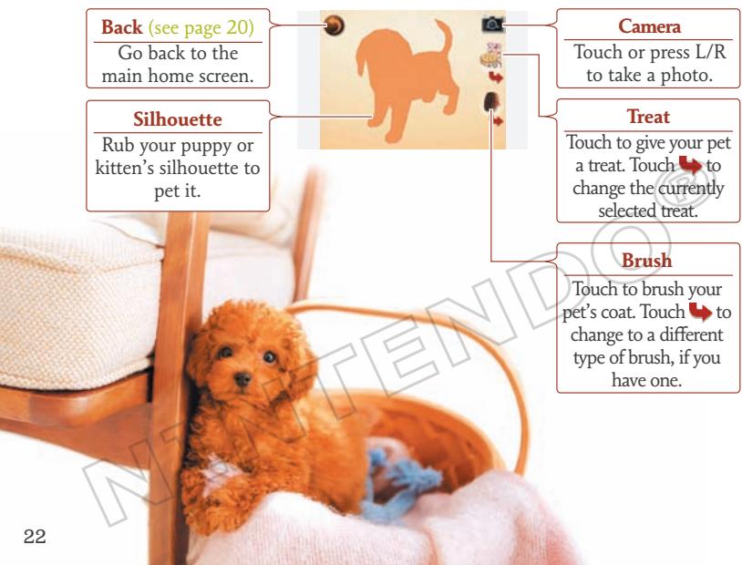 NINTENDO GS CATS FRENCH BULLDOG - Interacting with Your Puppy - 1