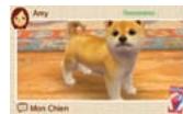 NINTENDO GS CATS FRENCH BULLDOG - Information du maître - 5