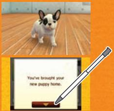 NINTENDO GS CATS FRENCH BULLDOG - Take Your Puppy Home - 1
