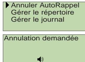 FRANCE TELECOM AMARYS 1600 - Declenchement de l'autorappel - 1