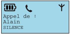 FRANCE TELECOM AMARYS 3400 DECT - L'écran du combiné - 3