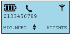 FRANCE TELECOM AMARYS 3400 DECT - L'écran du combiné - 4