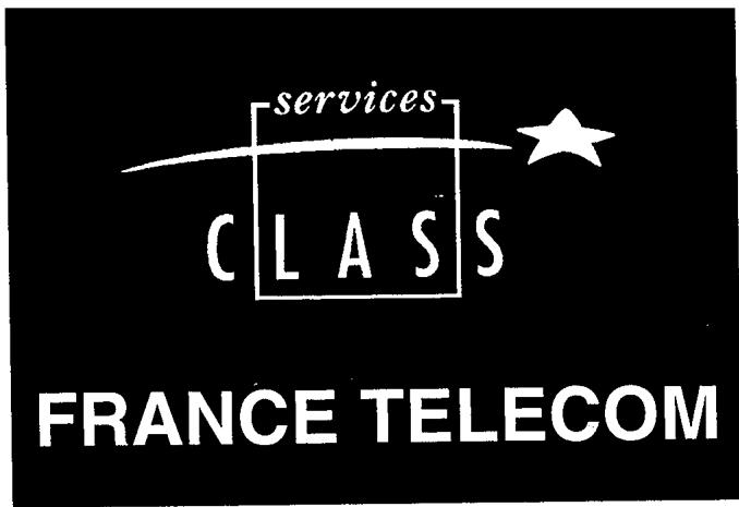 FRANCE TELECOM GALEO 4210 - Utiliser un telephone sans FIL (OPTION) - 3
