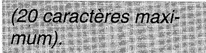 FRANCE TELECOM GALEO 4210 - Enregisterer son nom - 2