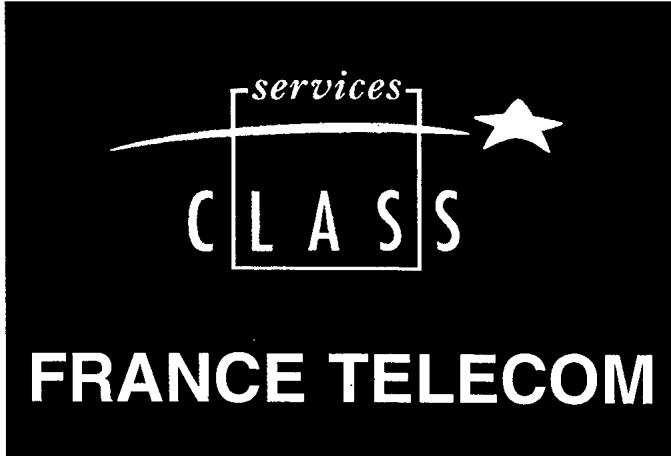 FRANCE TELECOM GALEO 4220 - Utiliser un telephone sans FIL (OPTION) - 3
