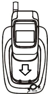 FRANCE TELECOM GEEMARC MADISON - - Mise en charge - 1