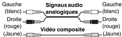 ONKYO SKB-570 - Code de couleurs des prises RCA pour appareils AV - 1