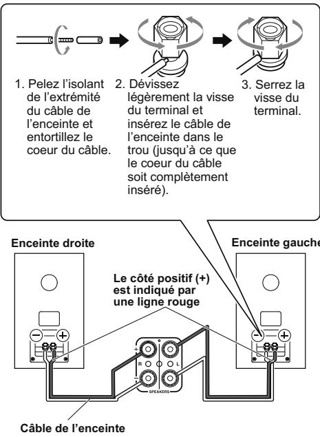 ONKYO D-145 - Connexion des enceintes - 1