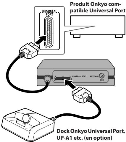 ONKYO UP-DT1 - Connexion de l'UP-DT1 - 1