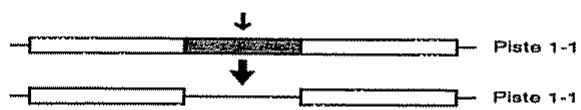 BOSS BR-532 - Correction d'une erreur en un point précis de l'enregistrement - 1