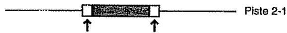 BOSS BR-532 - Correction d'une erreur en un point précis de l'enregistrement - 3