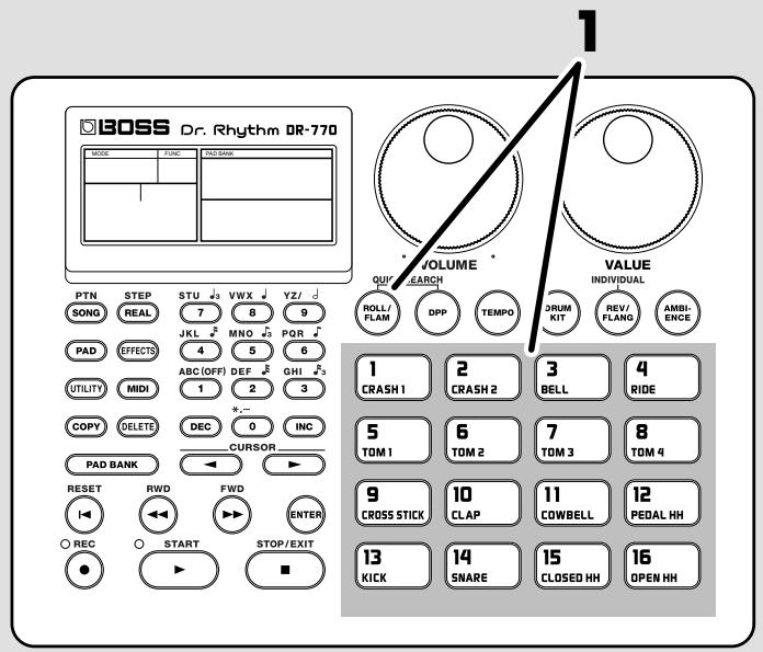 BOSS DR-770 - Lecture d'un roll - 1