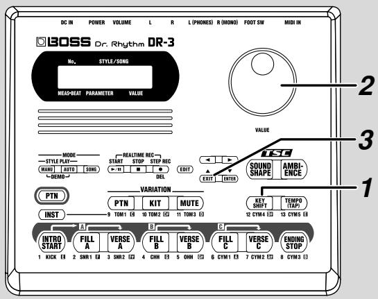 BOSS DR3 - Transposition ([KEY SHIFT]) - 1