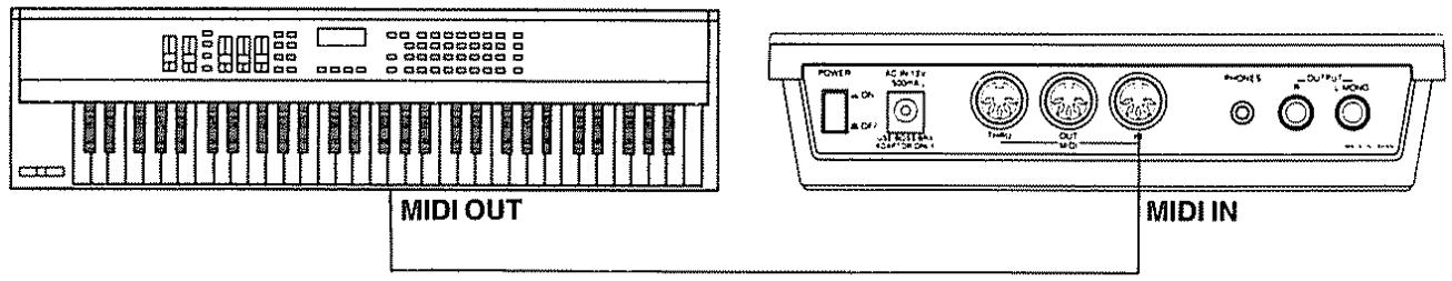 BOSS DS-330 - Faire les connexions - 1