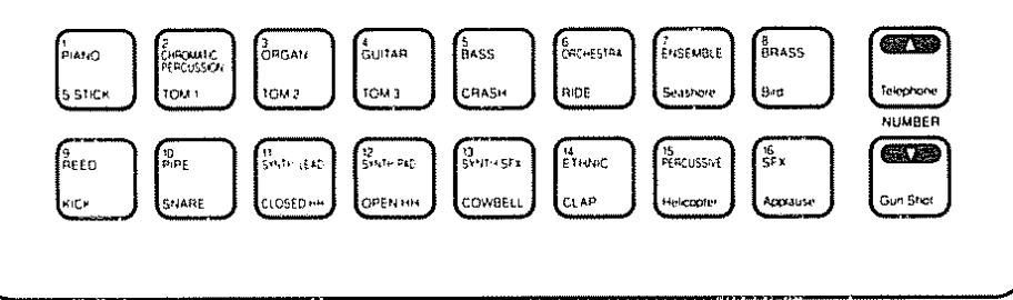 BOSS DS-330 - Comment jouer avec un ensemble rythmique - 2
