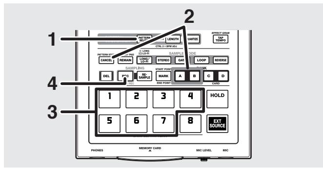 BOSS SP-303 - Chargement d'un pattern depuis une carte mémoire - 2