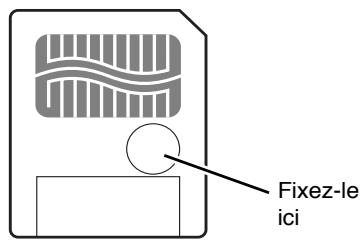 BOSS SP-303 - Protection des données des cartes mémoire - 1