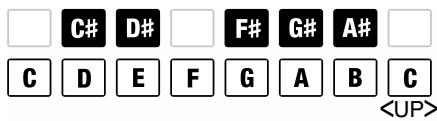 BOSS SP-505 - Jeu d'un même sample à différentes hauteurs (pitch) - 4